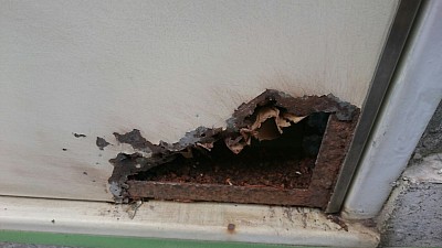 玄関ドア内部からのサビ腐食、玄関ドア補修の中でドア下部の錆び腐食案件は多いです。ドア表面に金属プレートを貼ってなおす業者さんもいますが、当社は可能な限り元の状態に近いように仕上げます。