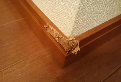 犬のかじり傷