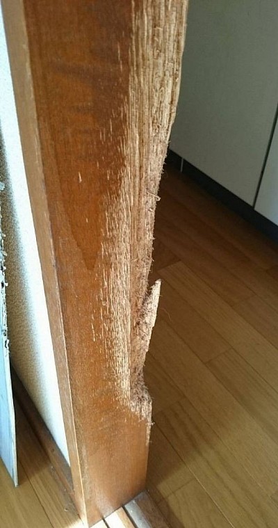 猫に引っ掛かれ深く削れた柱、犬がガリガリ噛んだ柱、『住まいのリペア』が静かに修復、精密補修で仕上げます。