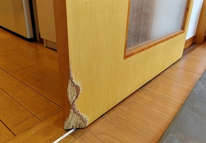 齧りキズ